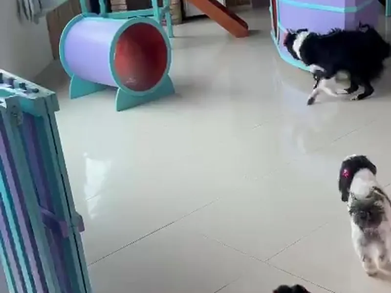 Salão da creche com escorregador, túnel e castelinho